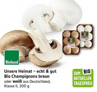 E-Center Unsere heimat − echt & gut bio champignons Angebot