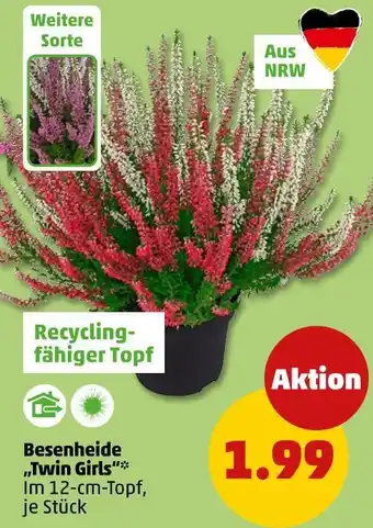 PENNY Besenheide 'twin girls' Angebot
