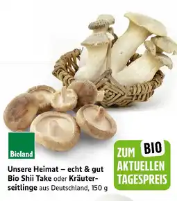 E-Center Bioland unsere heimat – echt & gut bio shii take oder kräuterseitlinge Angebot
