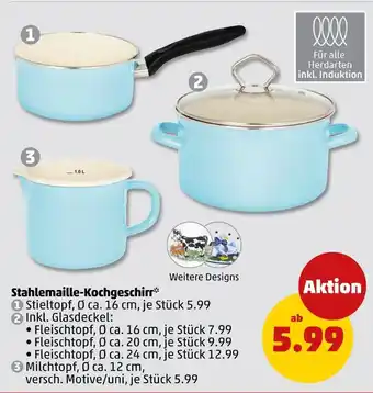 PENNY Stieltopf Angebot