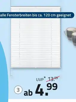 ROLLER Plissee Angebot
