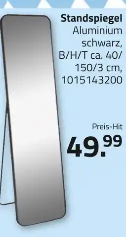 ROLLER Standspiegel Angebot