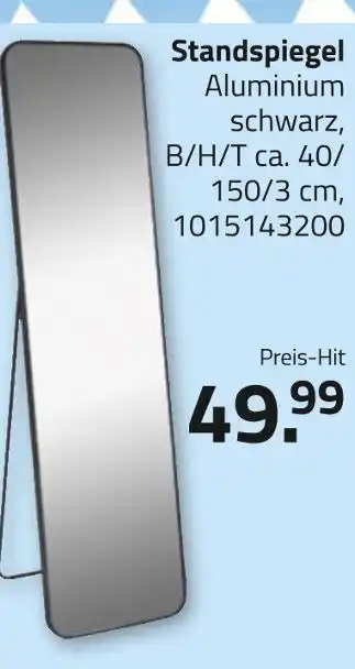 ROLLER Standspiegel Angebot