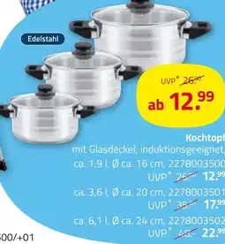 ROLLER Kochtopf Angebot