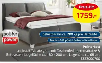ROLLER Polster power polsterbett Angebot