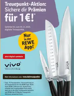 REWE Vivo villeroy & boch group knife Angebot