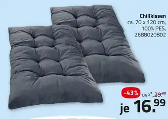 ROLLER Chillkissen Angebot