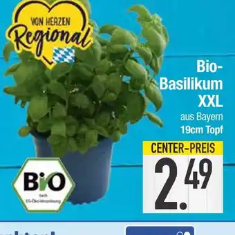 Edeka Bio-basilikum xxl Angebot