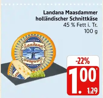 Marktkauf Landana maasdammer holländischer schnittkäse Angebot