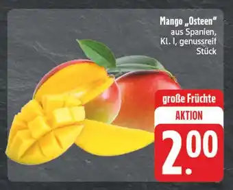 E-Center Mango 'osteen' Angebot