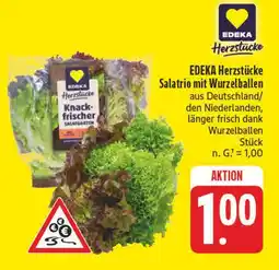 E-Center Edeka herzstücke salatrio mit wurzelballen Angebot