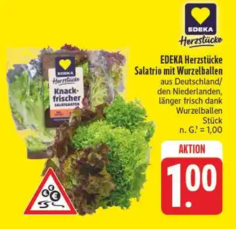 E-Center Edeka herzstücke salatrio mit wurzelballen Angebot