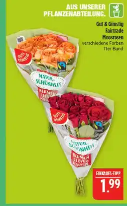 Marktkauf Gut & günstig fairtrade moosrosen Angebot