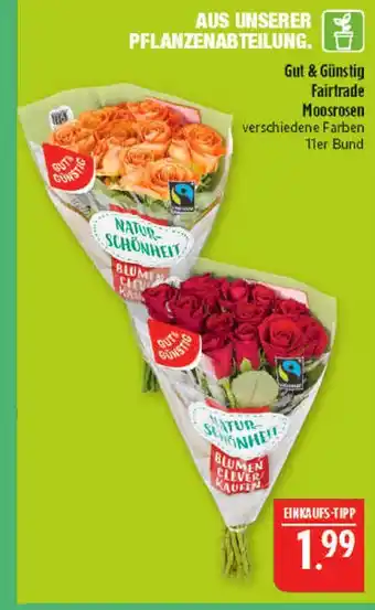 Marktkauf Gut & günstig fairtrade moosrosen Angebot