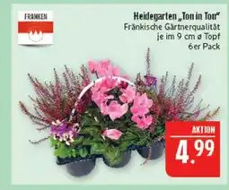 Marktkauf Franken heidegarten ton in ton Angebot