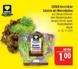 Marktkauf Edeka herzstücke salatrio mit wurzelballen Angebot