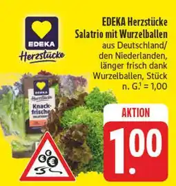 Edeka Edeka herzstücke salatrio mit wurzelballen Angebot