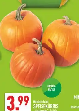Marktkauf Speisekürbis halloween Angebot