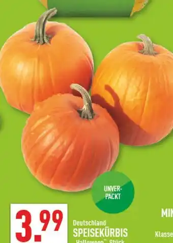 Marktkauf Speisekürbis halloween Angebot