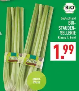 Marktkauf Bio-staudensellerie Angebot