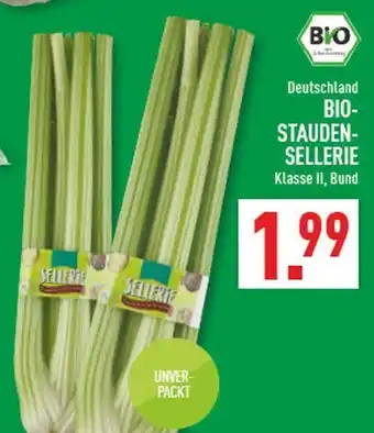 Marktkauf Bio-staudensellerie Angebot
