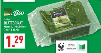 Marktkauf Edeka bio blattspinat Angebot
