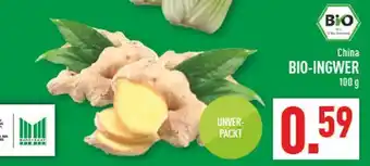 Marktkauf Bio-ingwer Angebot