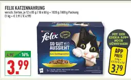 Marktkauf Felix katzennahrung Angebot