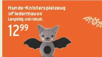 Marktkauf Hunde-knisterspielzeug fledermaus Angebot