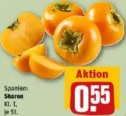 REWE Sharon Angebot