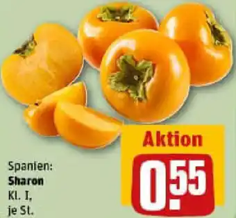 REWE Sharon Angebot