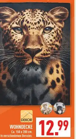 Marktkauf Dekor wohndecke Angebot