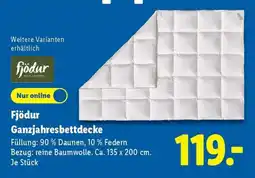 Lidl Fjödur Ganzjahresbettdecke Angebot