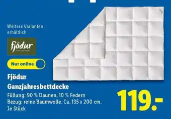 Lidl Fjödur Ganzjahresbettdecke Angebot
