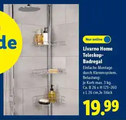 Lidl LIVARNO home Teleskop-Badregal Angebot