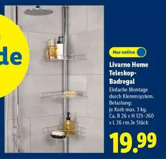 Lidl LIVARNO home Teleskop-Badregal Angebot