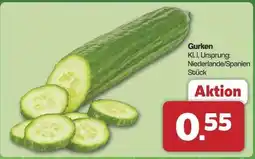 Famila Nord Ost Gurken Angebot