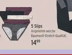 Famila Nord Ost 5 Slips Angebot