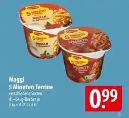 Famila Nord Ost Maggi 5-Minuten-Terrine Angebot