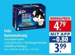 Famila Nord Ost felix Katzennahrung Angebot