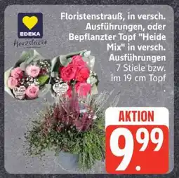 Edeka Floristenstrauß oder Bepflanzter Topf 'Heide Mix' Angebot