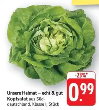 Edeka Kopfsalat Angebot