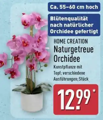 Aldi Nord HOME CREATION Naturgetreue Orchidee Angebot