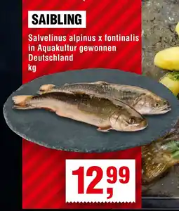 Handelshof SAIBLING Angebot