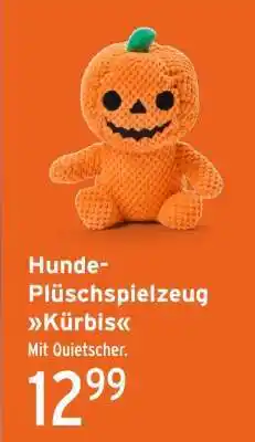 REWE Hunde-Plüschspielzeug Kürbis Angebot