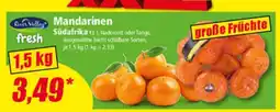 Norma Mandarinen Angebot