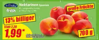 Norma Nektarinen Spanien Angebot