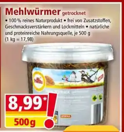 Norma Mehlwürmer getrocknet Angebot