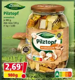 Norma Pilztopf Angebot