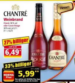 Norma Chantré Weinbrand Angebot